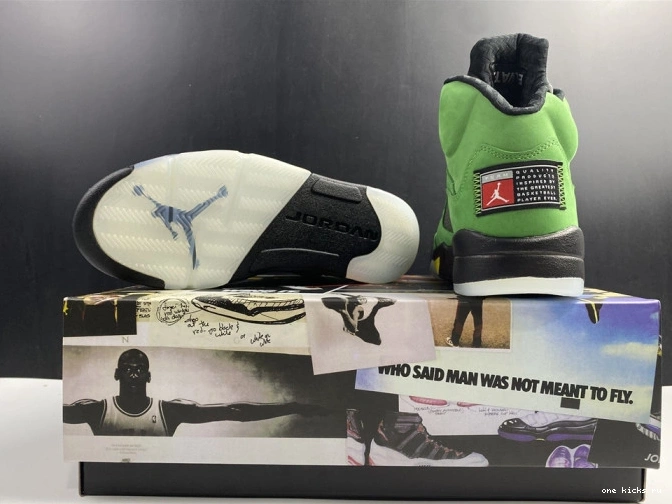 Chep Onekick Jordan Air Ducks Oregon SE 5 CK6631-307 0731